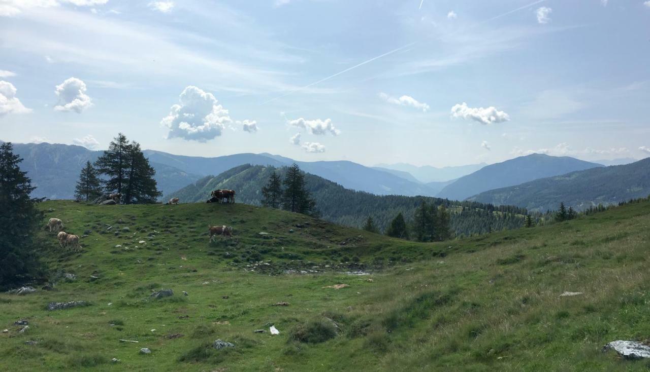 Villa Streintz Millstatt Esterno foto